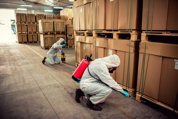 Best Pest Removal Services  in Perkasie, PA