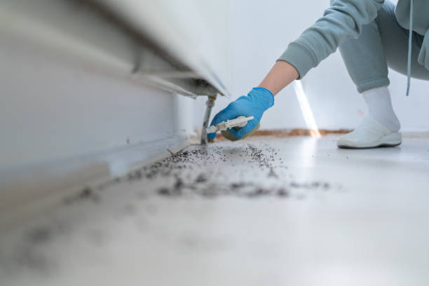 Best Pest Control for Restaurants  in Perkasie, PA